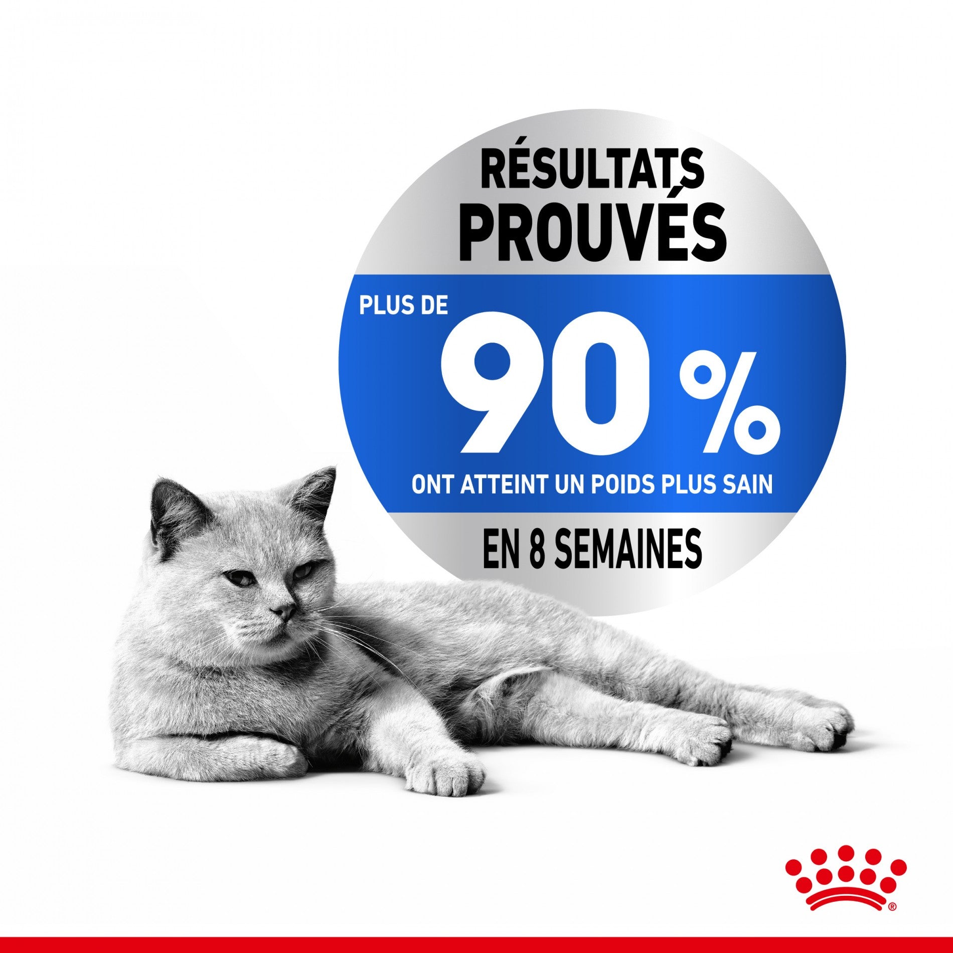 Royal Canin Light Weight Care - pâtée chat