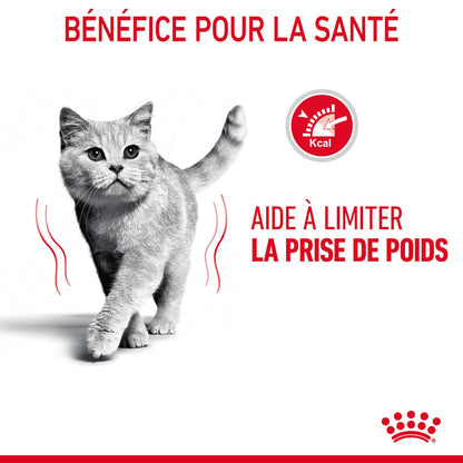 Royal Canin Light Weight Care - pâtée chat