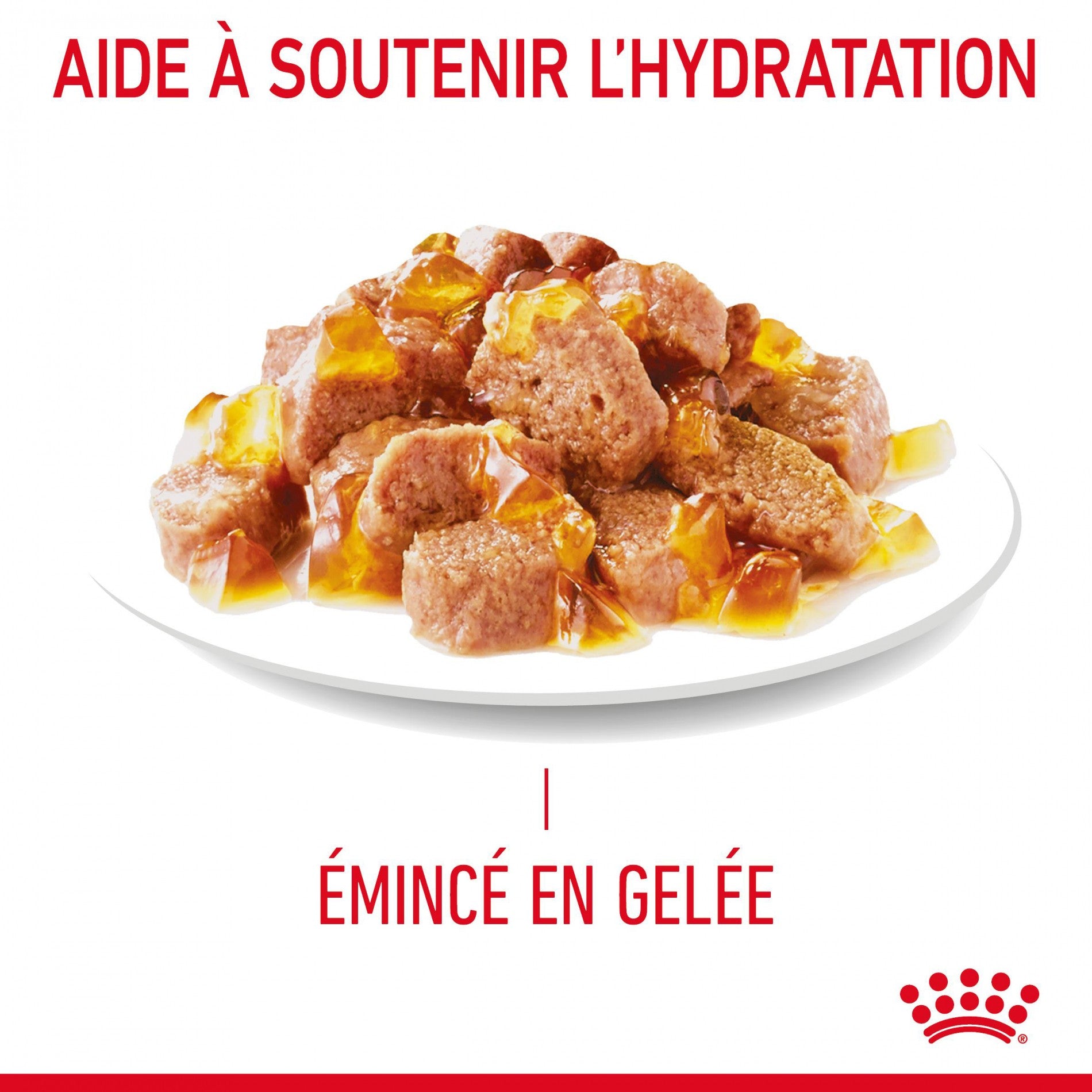 Royal Canin Light Weight Care - pâtée chat