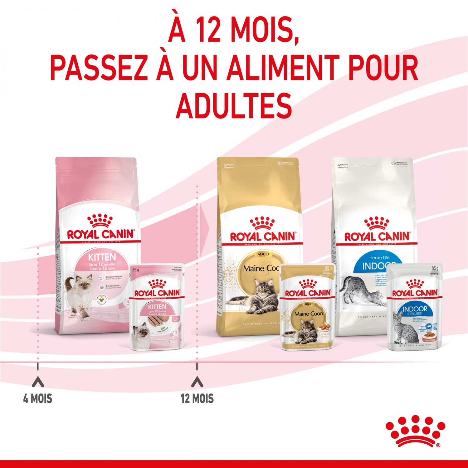 Royal Canin Kitten - Mousses pour chaton