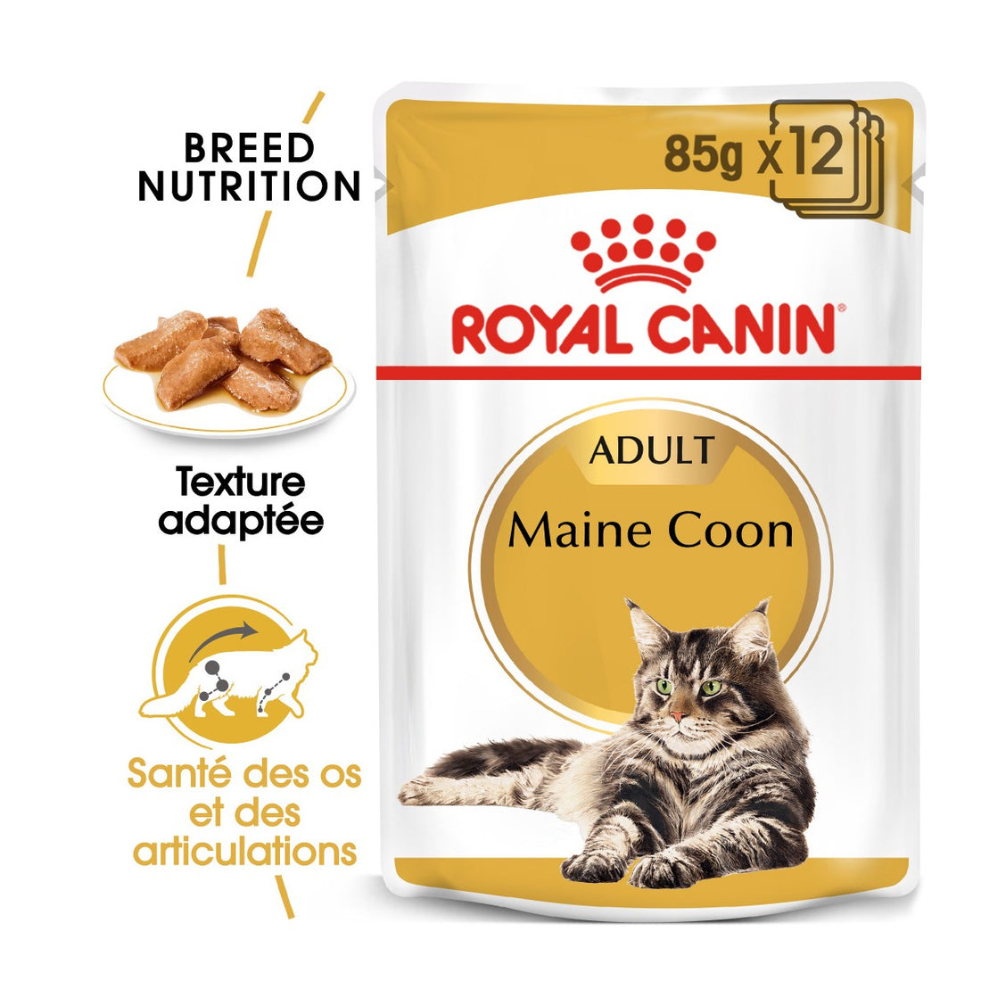 Royal Canin Maine Coon Adult - pâtée chat