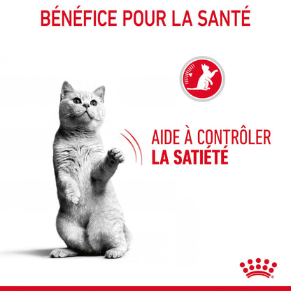 ROYAL CANIN Appetite Control Care en Sauce – Pâtée pour chat