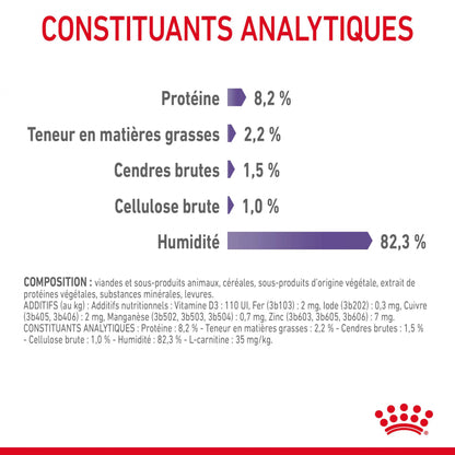 ROYAL CANIN Appetite Control Care en Sauce – Pâtée pour chat