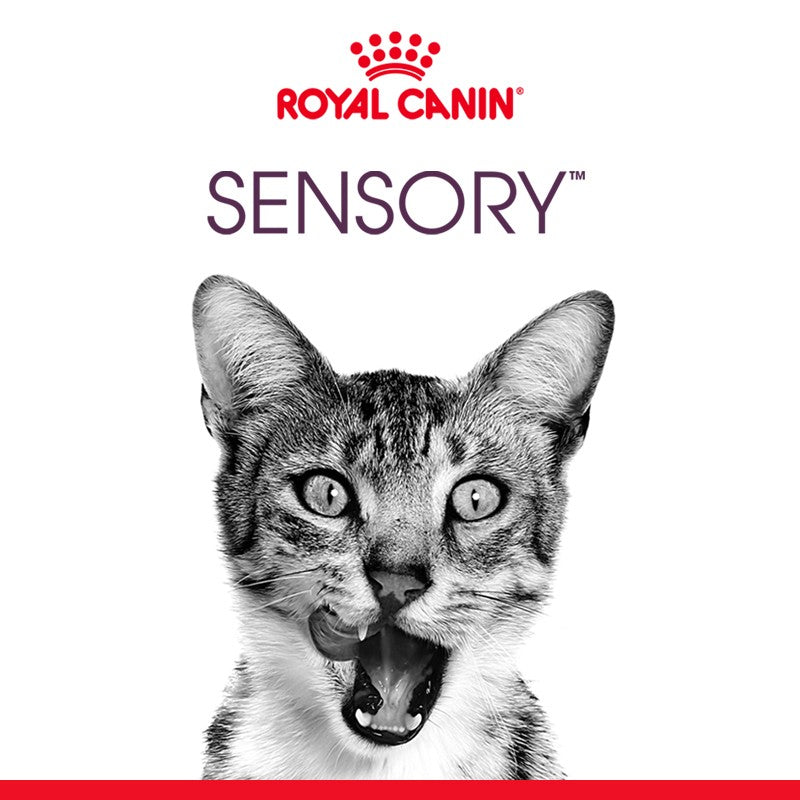 Royal Canin Sensory Smell