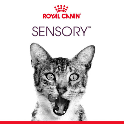 Royal Canin Sensory Smell