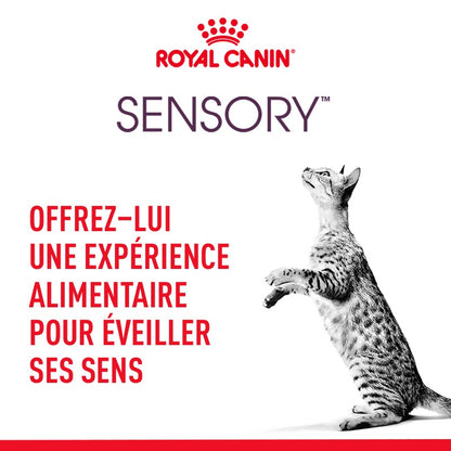 Royal Canin Sensory Smell
