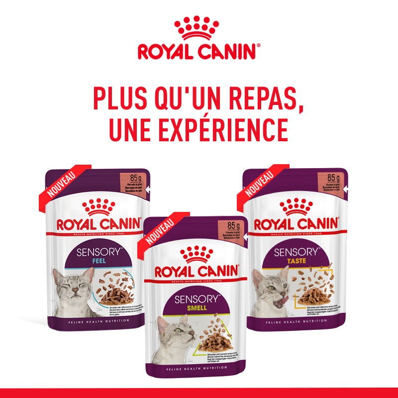 Royal Canin Sensory Multipack - pâtée chat