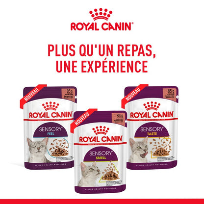 Royal Canin Sensory Multipack - pâtée chat