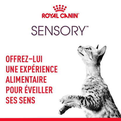 Royal Canin Sensory Multipack - pâtée chat