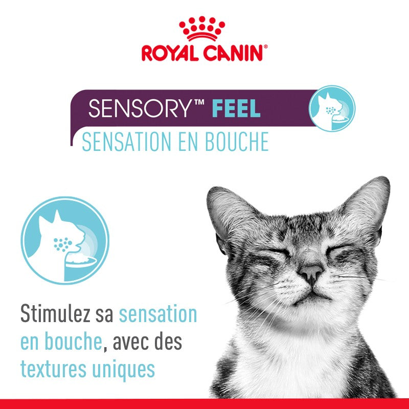 Royal Canin Sensory Multipack - pâtée chat