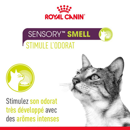 Royal Canin Sensory Multipack - pâtée chat