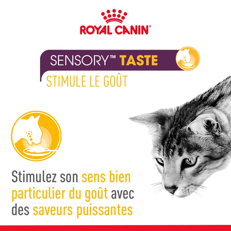 Royal Canin Sensory Multipack - pâtée chat