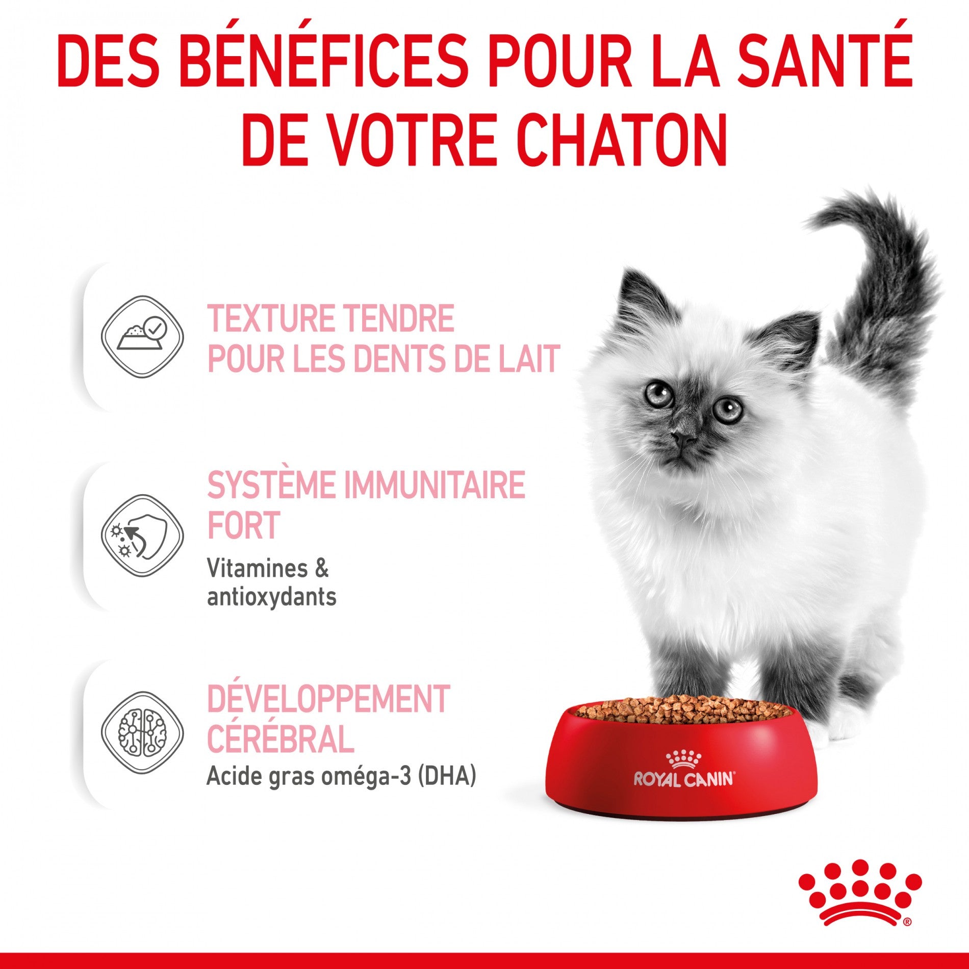 Royal Canin Kitten Multipack - Pâtées pour chaton