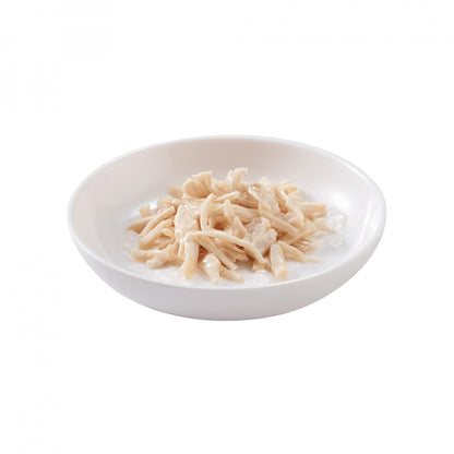 Schesir Adult sachets gelée - pâtée chat