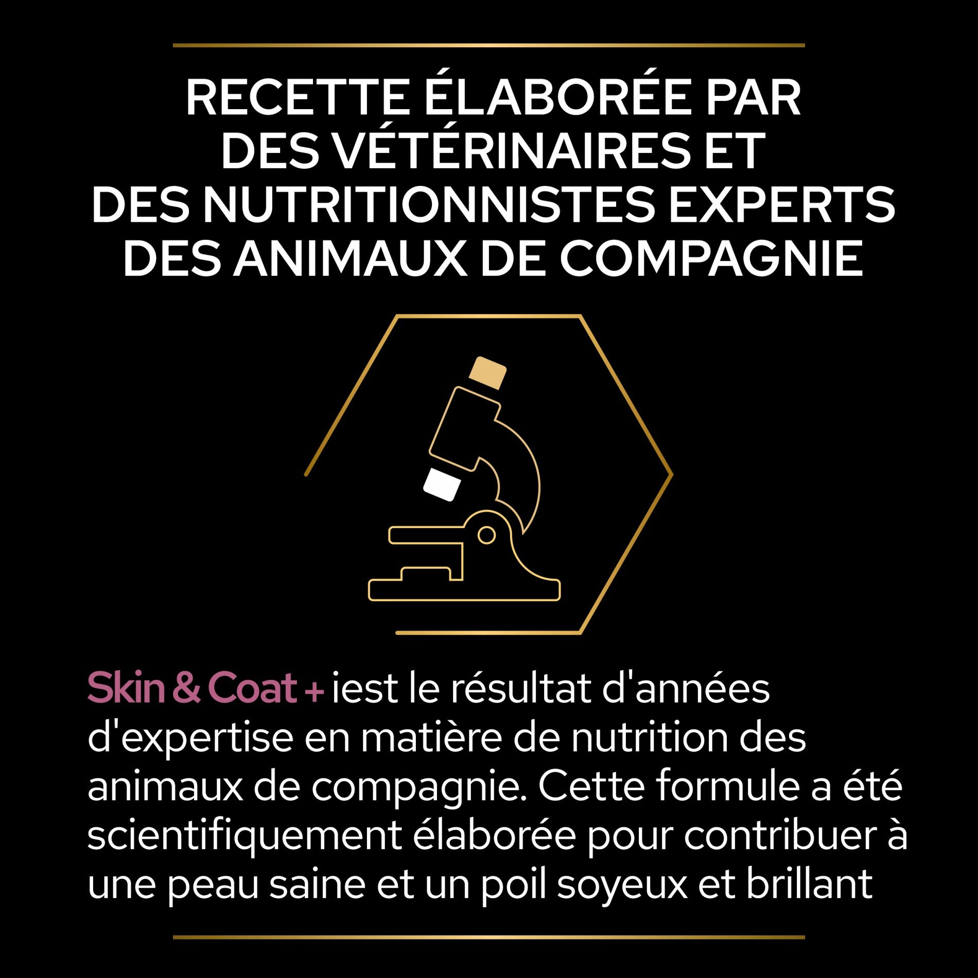Pro Plan Skin &amp; Coat+ en huile aliment complémentaire chat