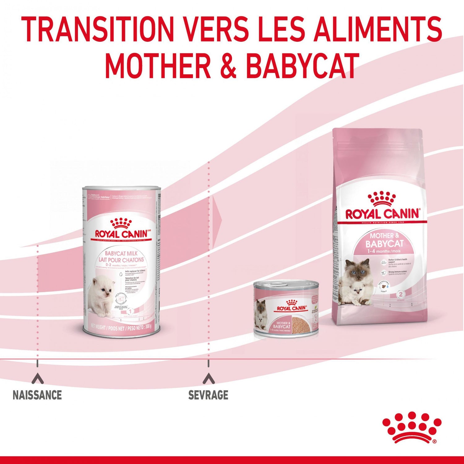 Royal Canin Babycat Milk - lait maternisé chaton