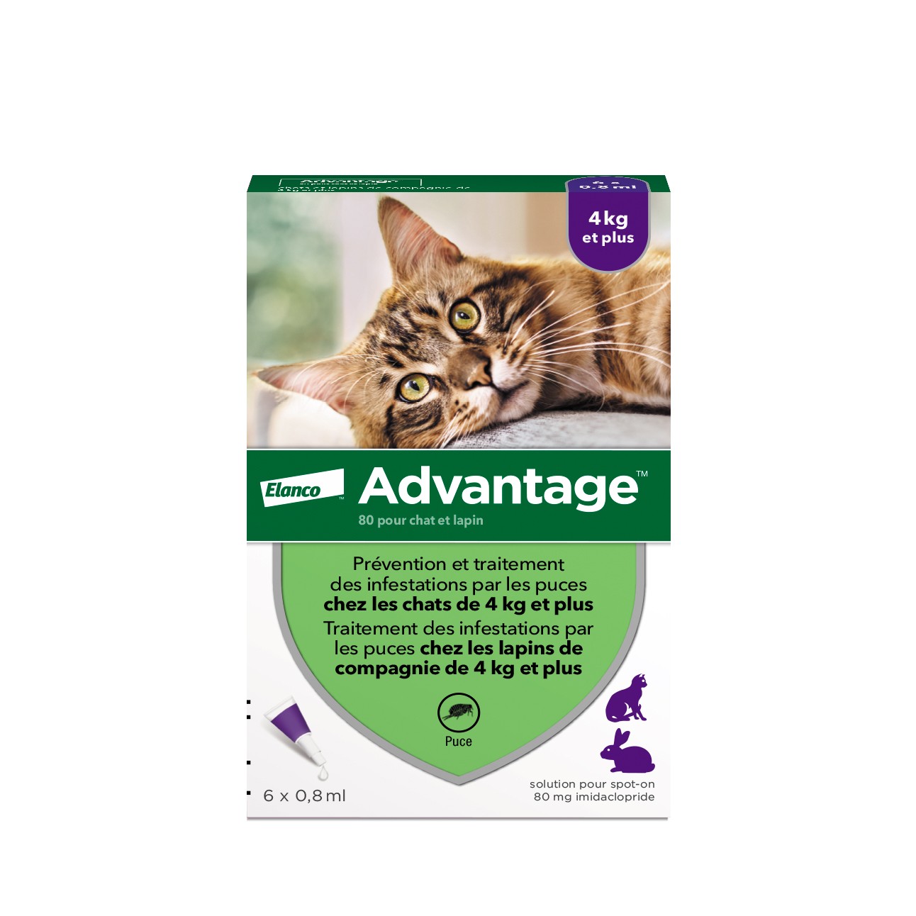 Pipettes Advantage chat, lapin