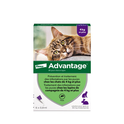 Pipettes Advantage chat, lapin