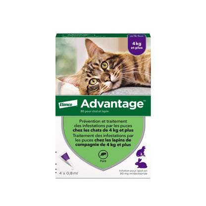 Pipettes Advantage chat, lapin