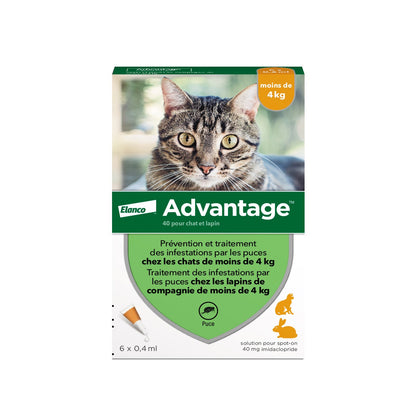 Pipettes Advantage chat, lapin