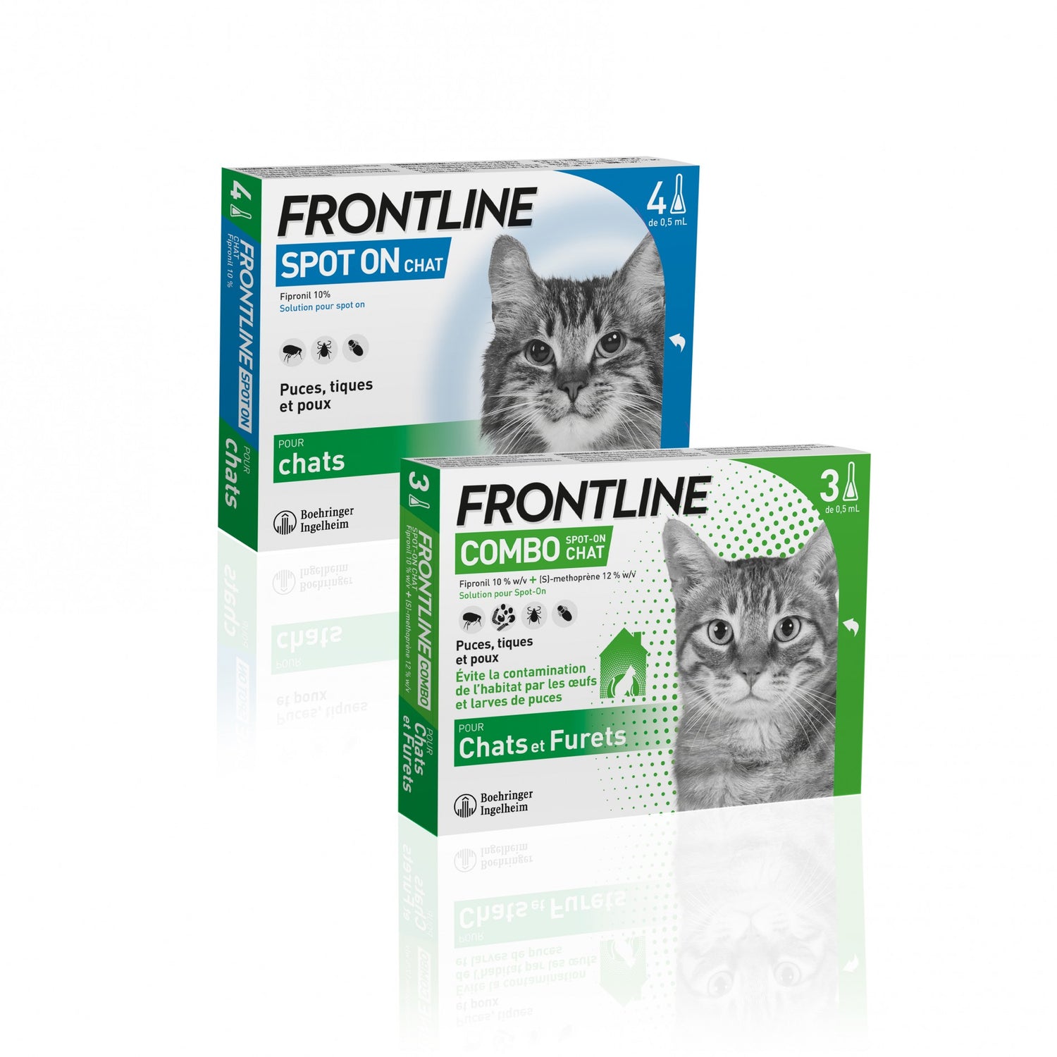 Pipettes Frontline Spot-On chat