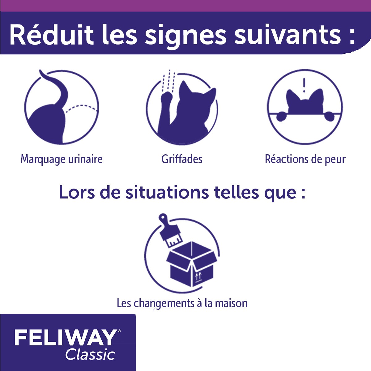Feliway® Classic recharge - chat
