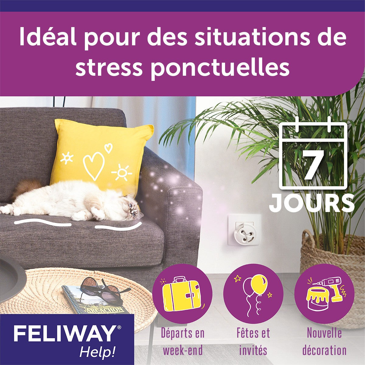 Feliway® Help! chat