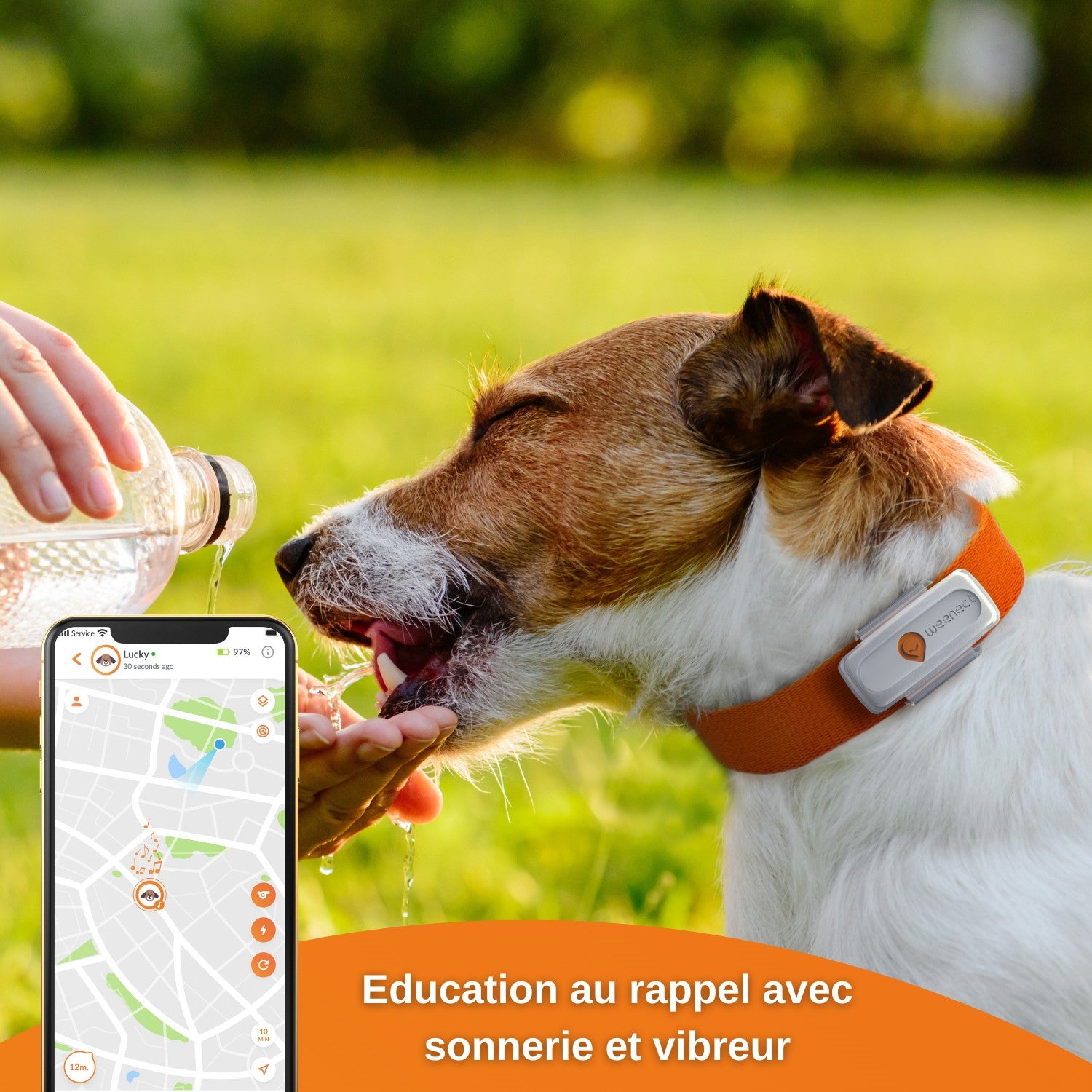 Collier GPS Weenect XS Dogs - Blanc