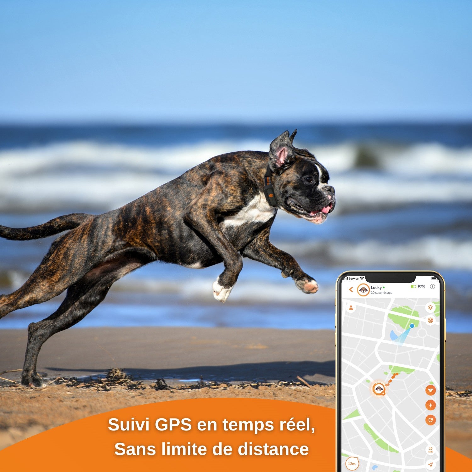 Collier GPS Weenect XS noir chien