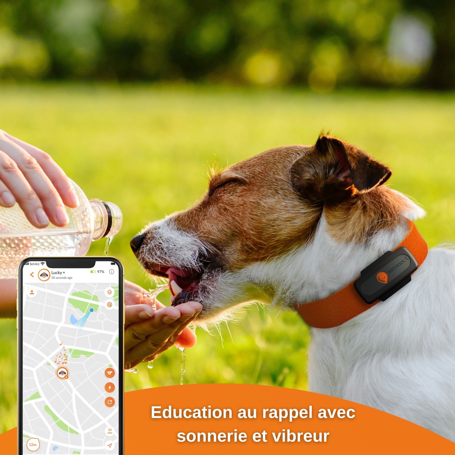 Collier GPS Weenect XS noir chien