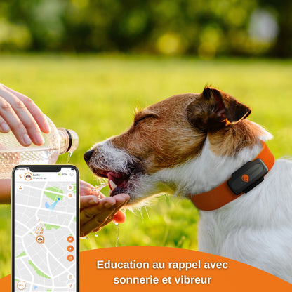 Collier GPS Weenect XS noir chien