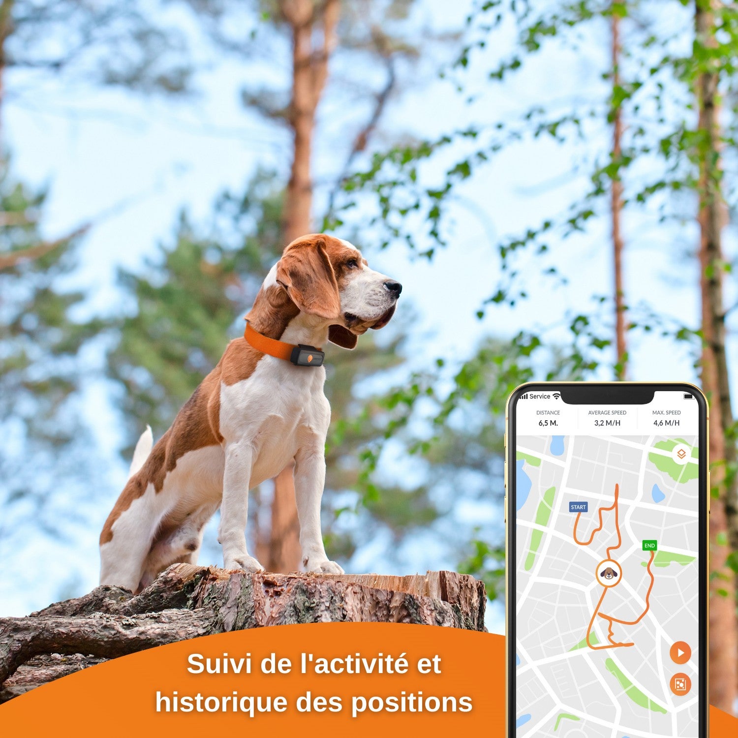 Collier GPS Weenect XS noir chien
