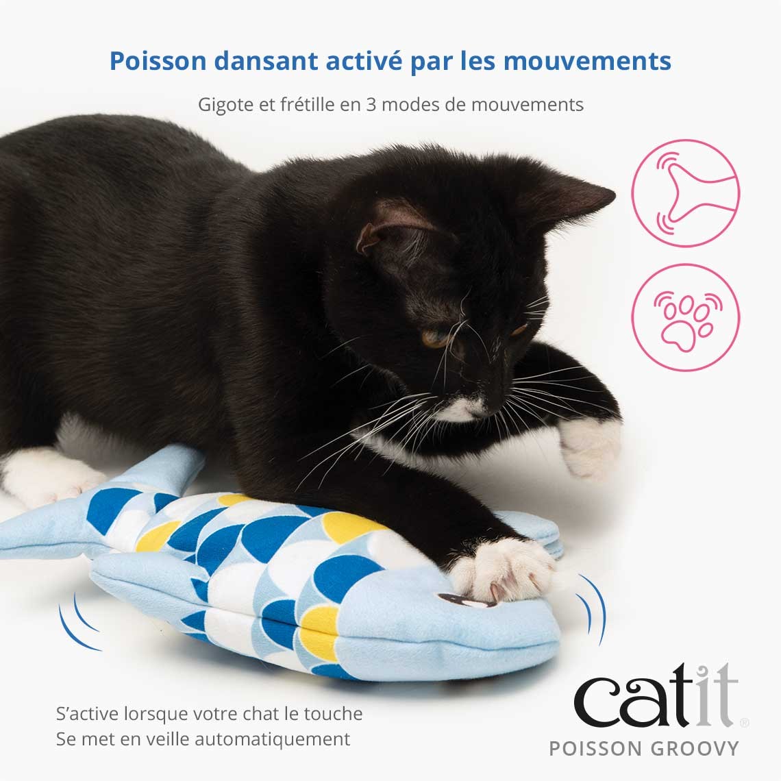 Poisson électronique Groovy