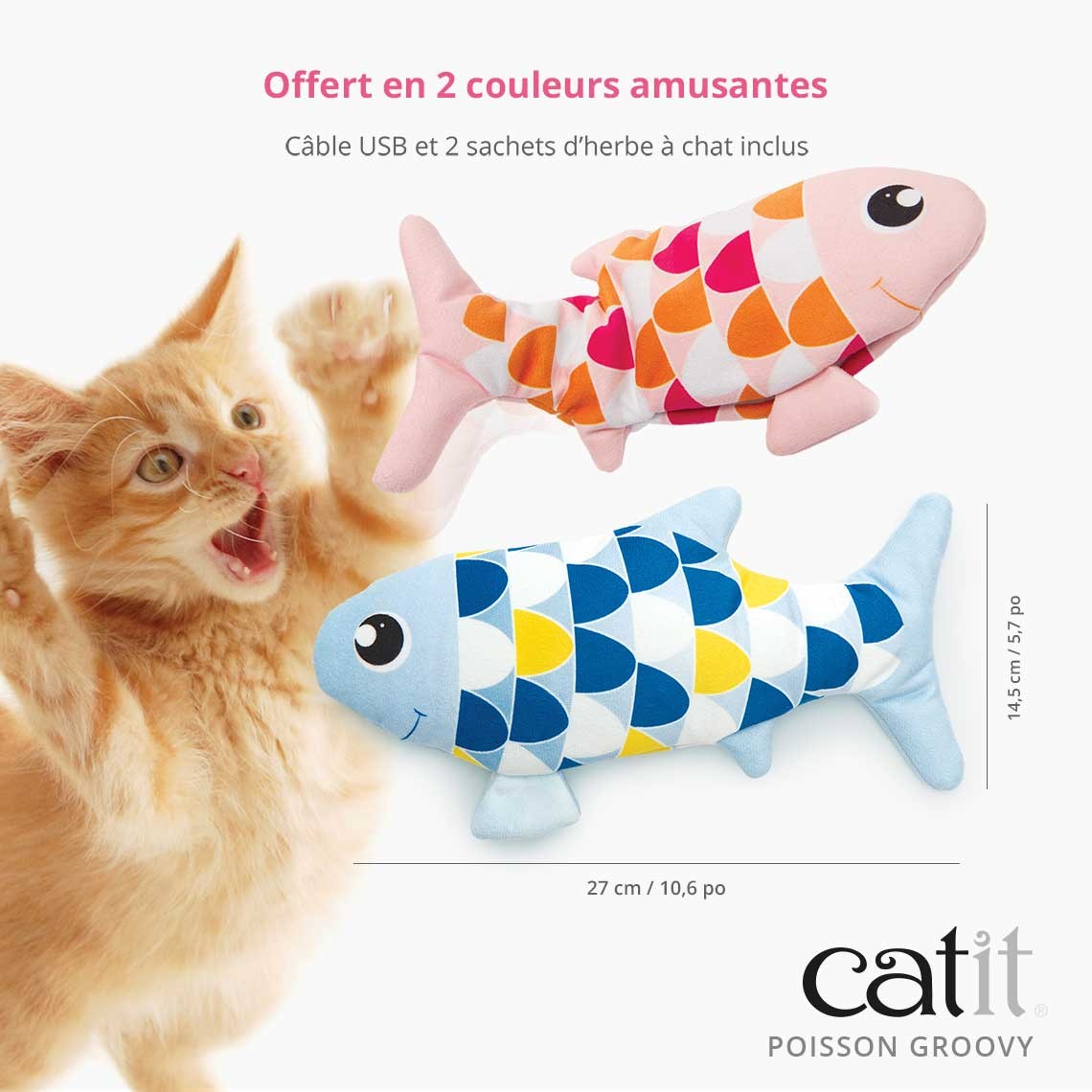 Poisson électronique Groovy