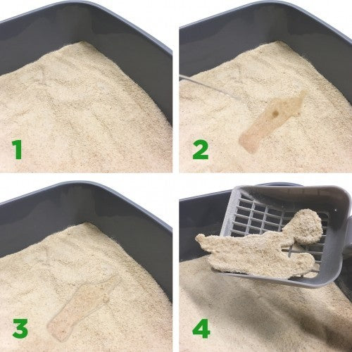 Litière Cat Litter Almo Nature chat