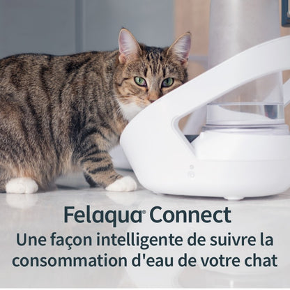Distributeur d&