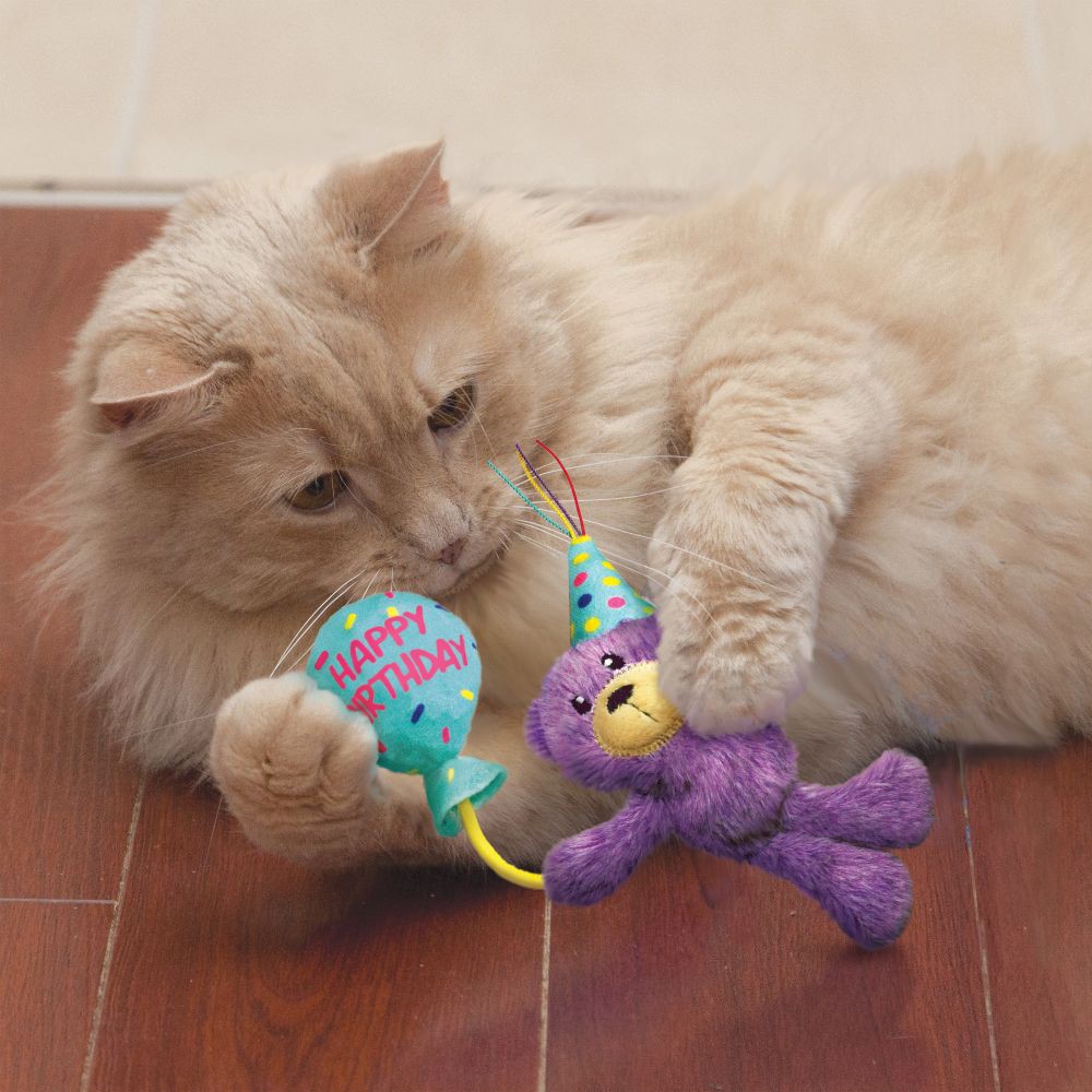 Peluche Birthday Teddy Kong chat