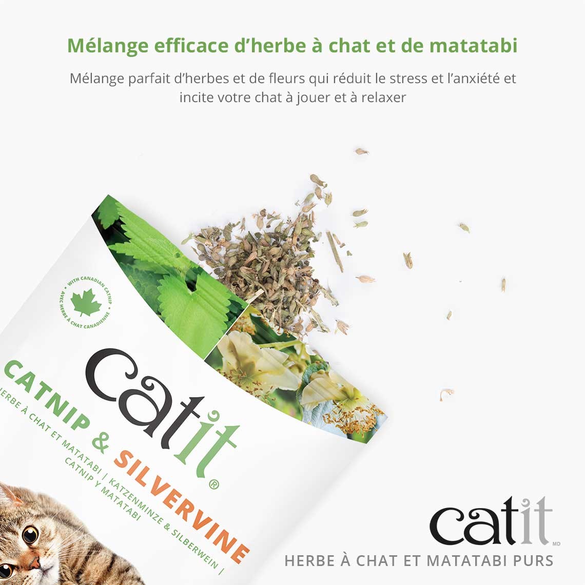 Mélange pur d&