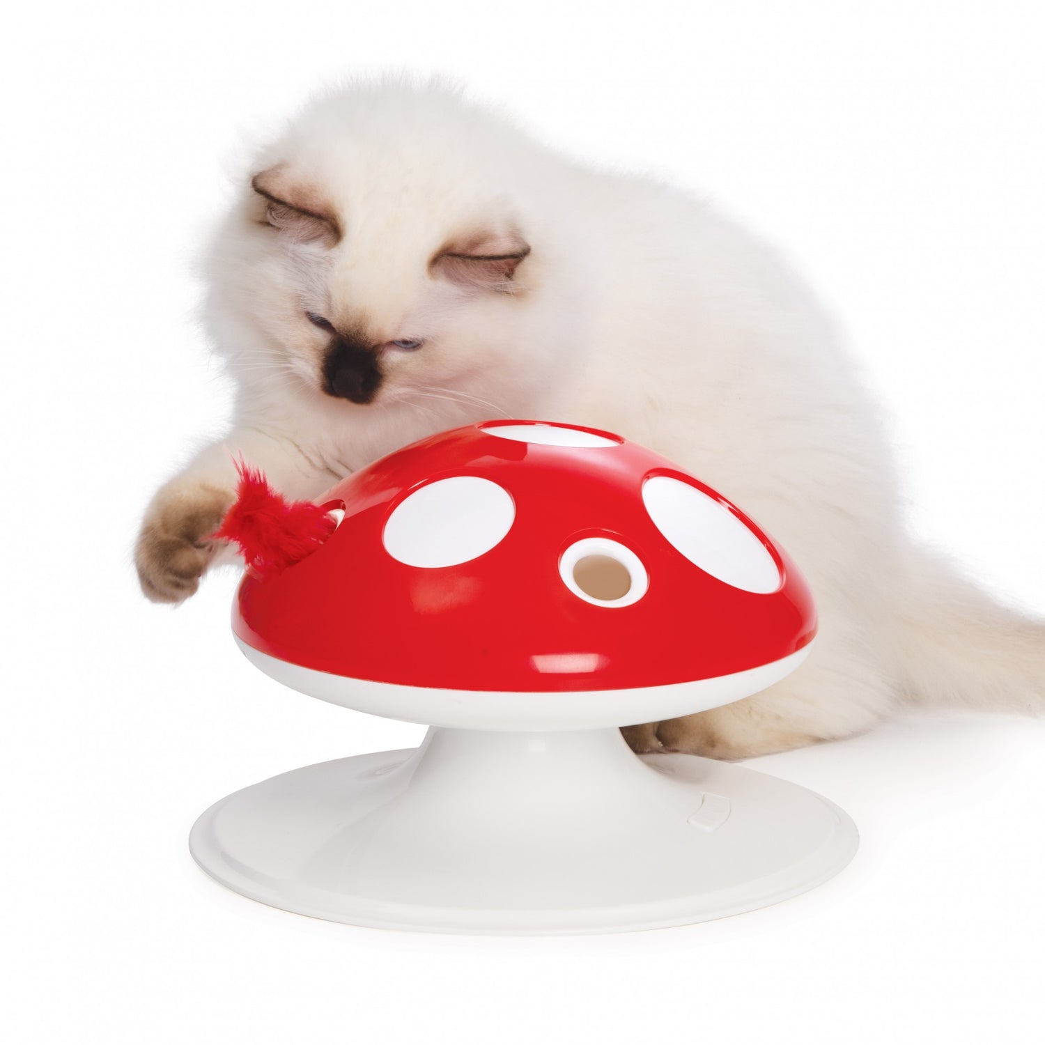 Recharge Champignon Senses 2.0 chat