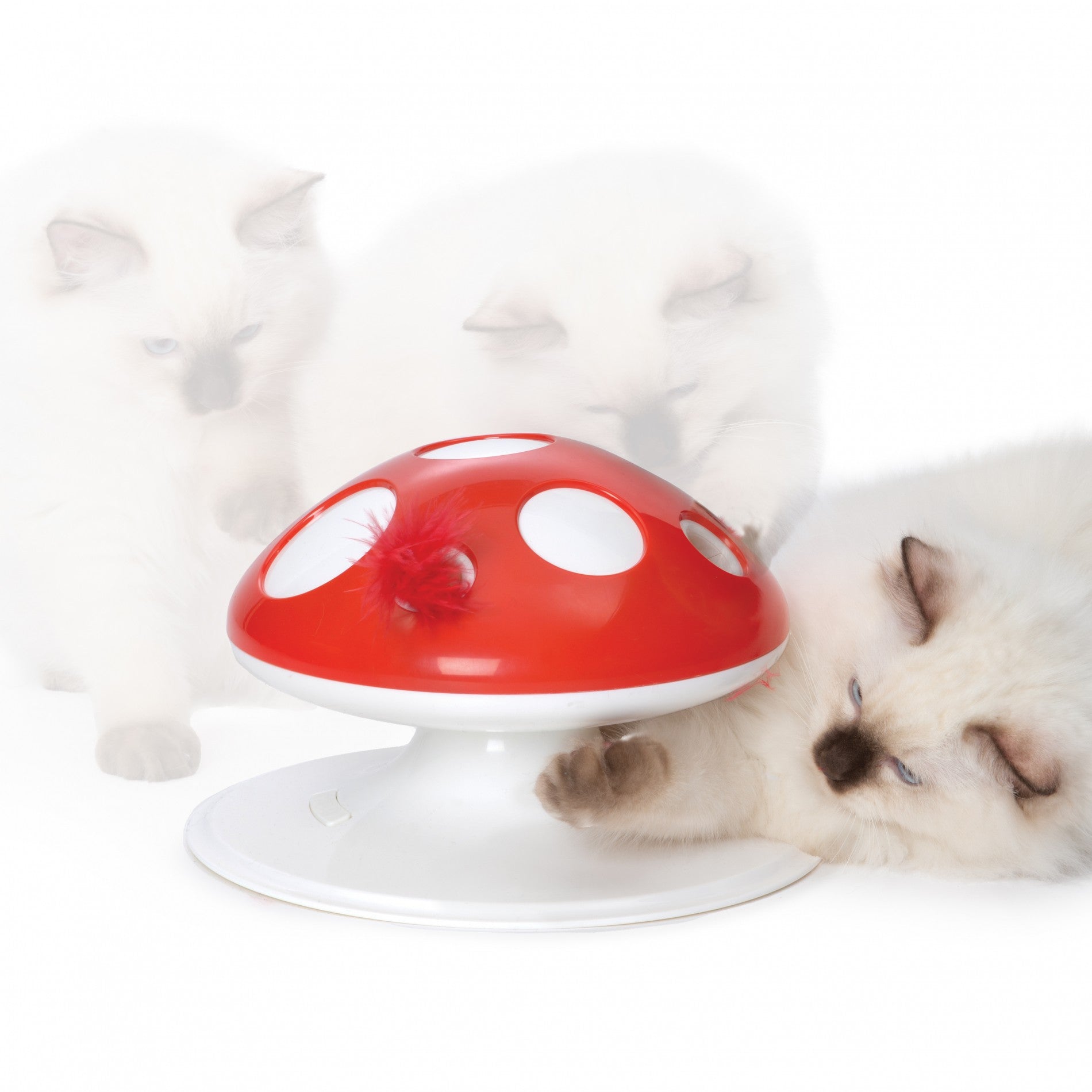 Recharge Champignon Senses 2.0 chat