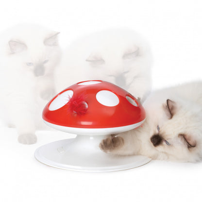 Recharge Champignon Senses 2.0 chat