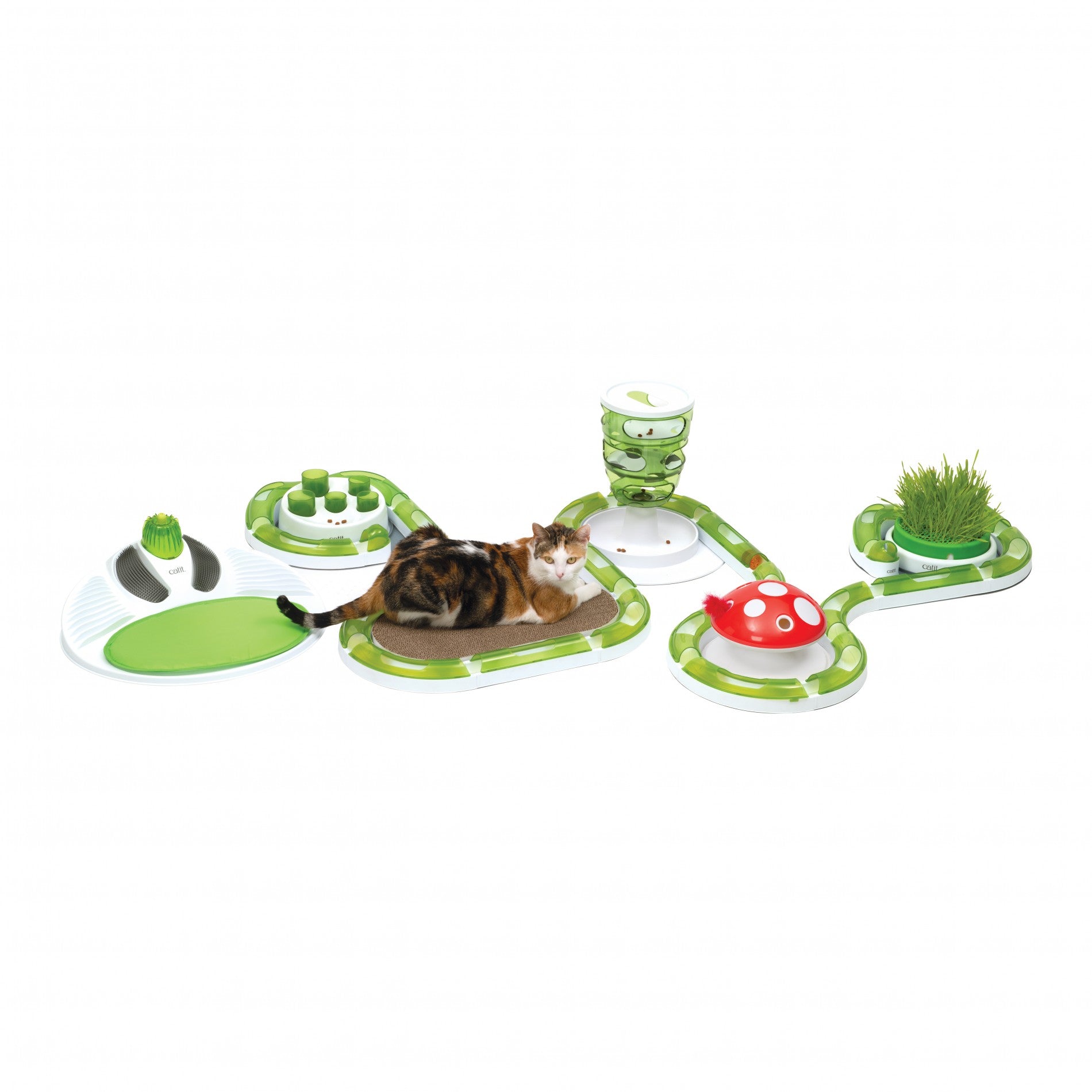 Recharge Champignon Senses 2.0 chat