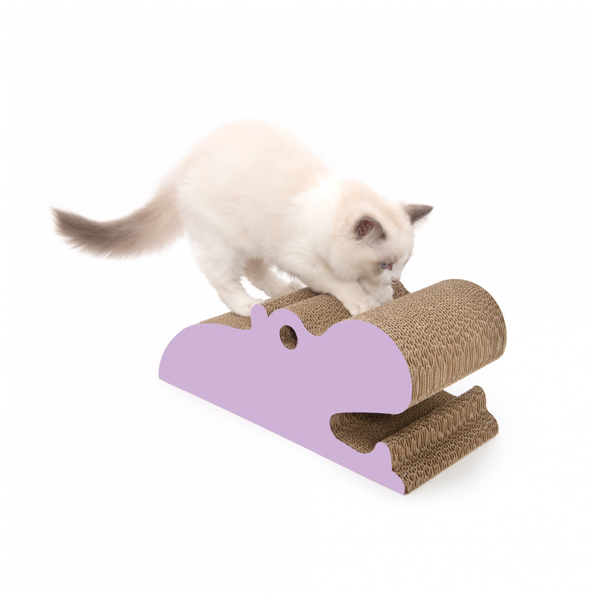 Griffoir Zoo Hippopotame chat