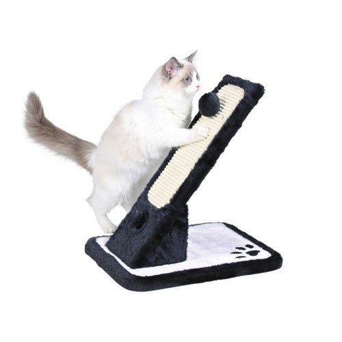 Griffoir incliné chat, chaton