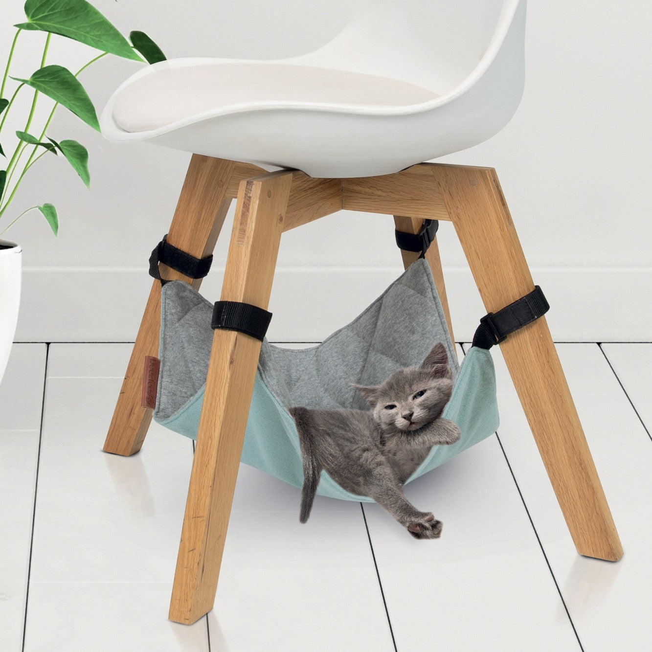 Hamac Loungy chat