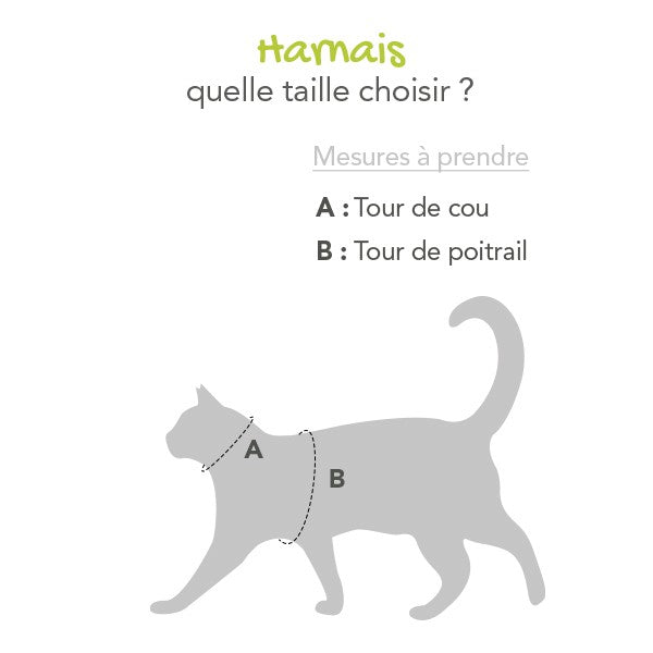 Parure laisse et harnais Kitty chaton