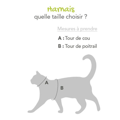 Parure laisse et harnais Kitty chaton