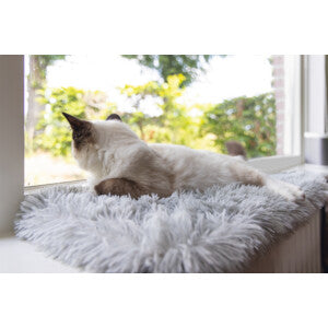 Matelas de fenêtre Blizz chat