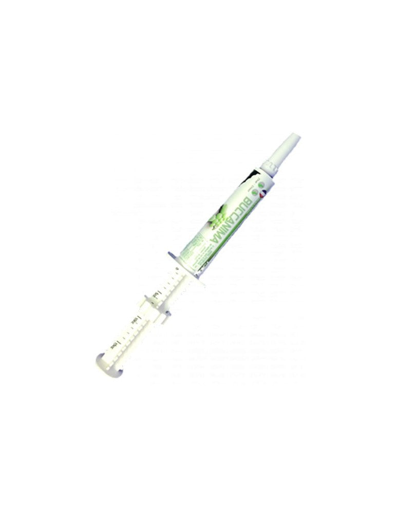 Buccanima gel oral bucco-dentaire chat, chien, lapin, furet