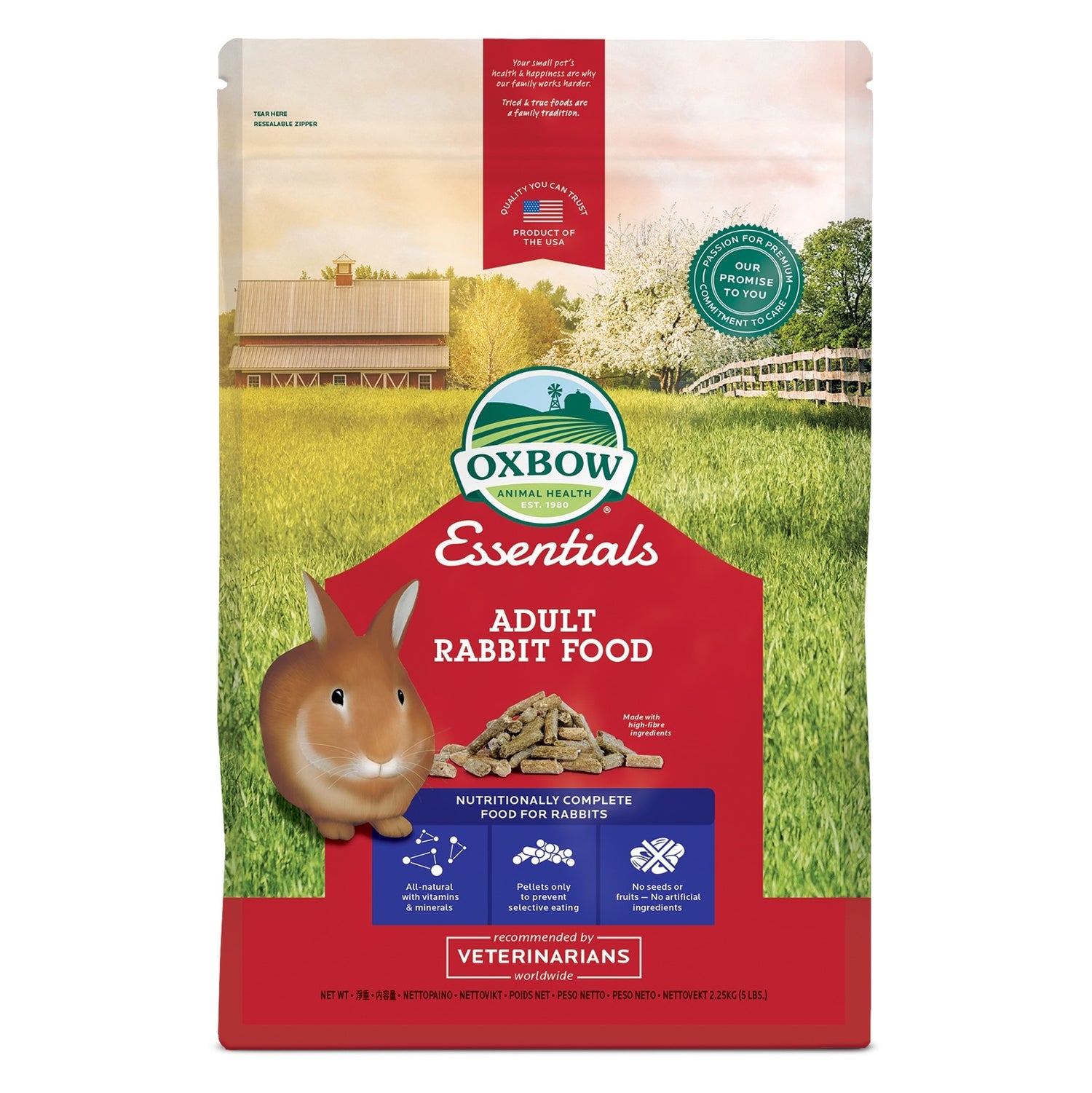 Adult Bunny Basics lapin